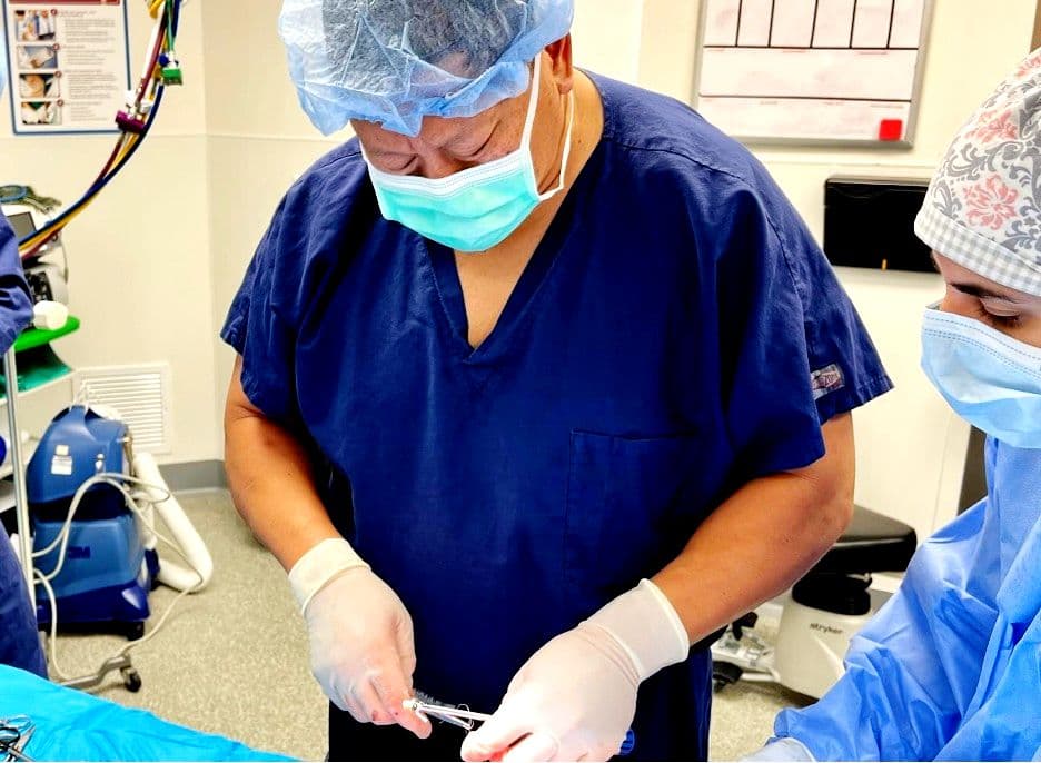 ABANZA Concludes 2024 with Successful Lab Session